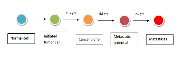 Why is Pancreatic Cancer So Aggressive? 1 Fig%2B1